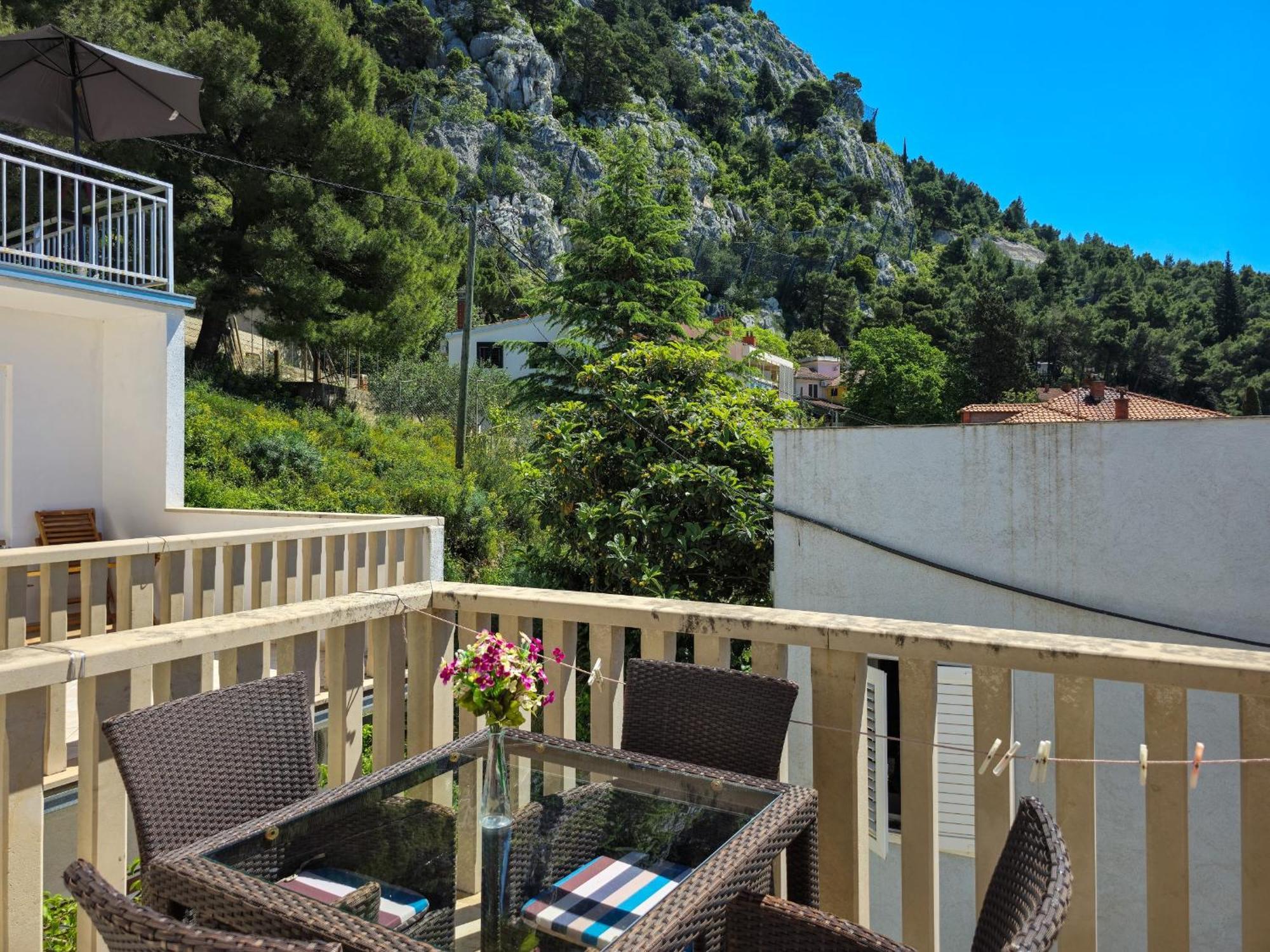 Neda Omiš