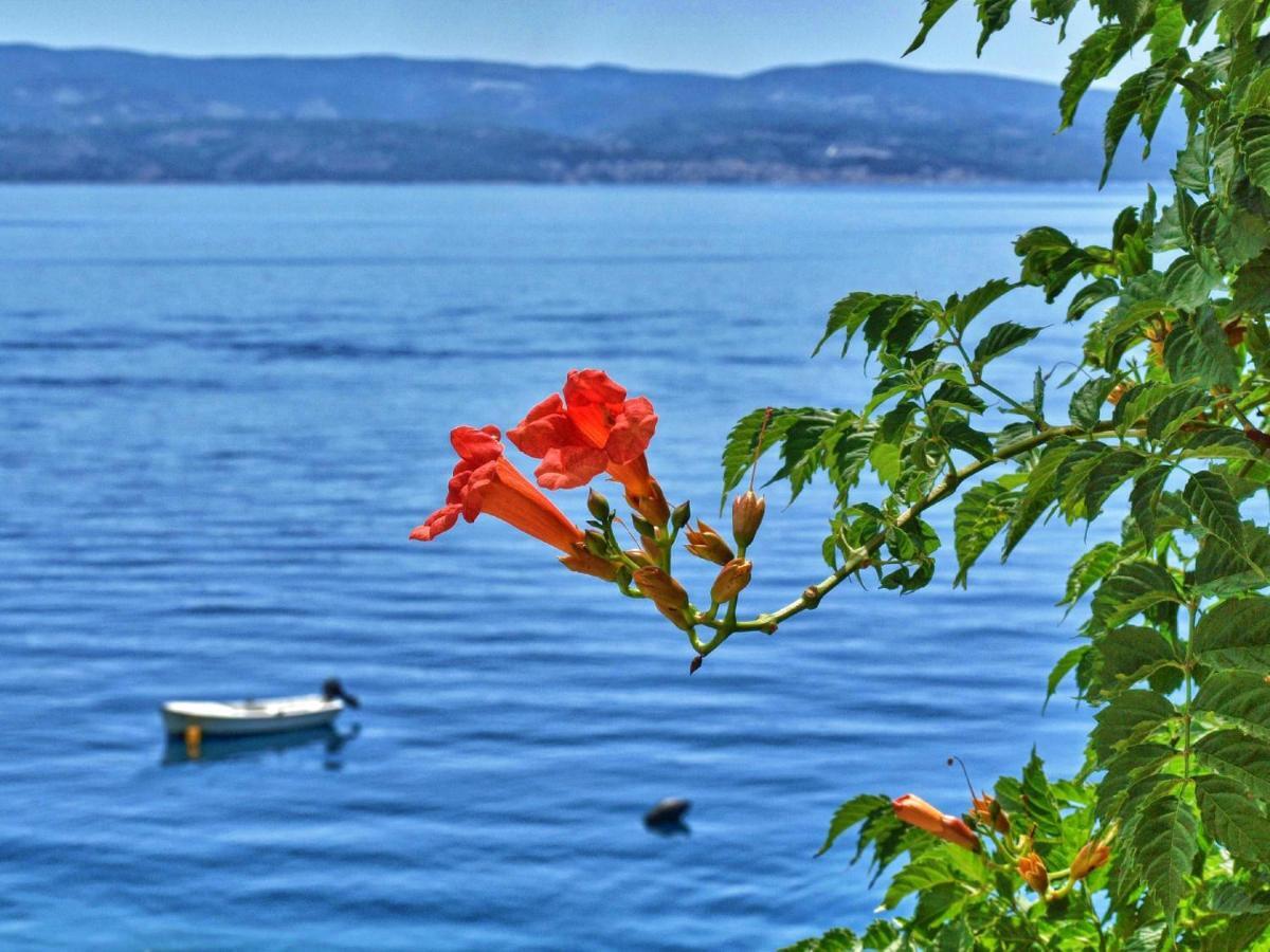 Neda Apartament Omiš