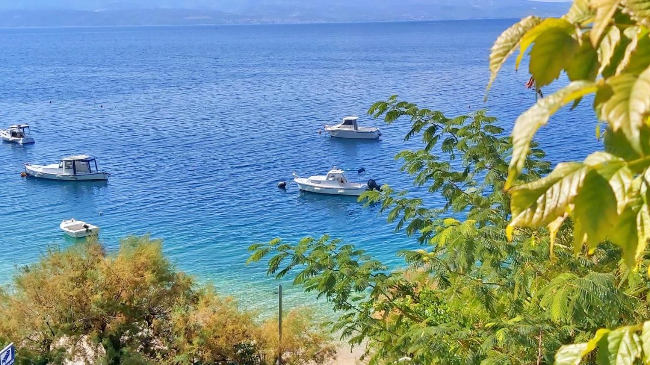 Apartment Neda Omis