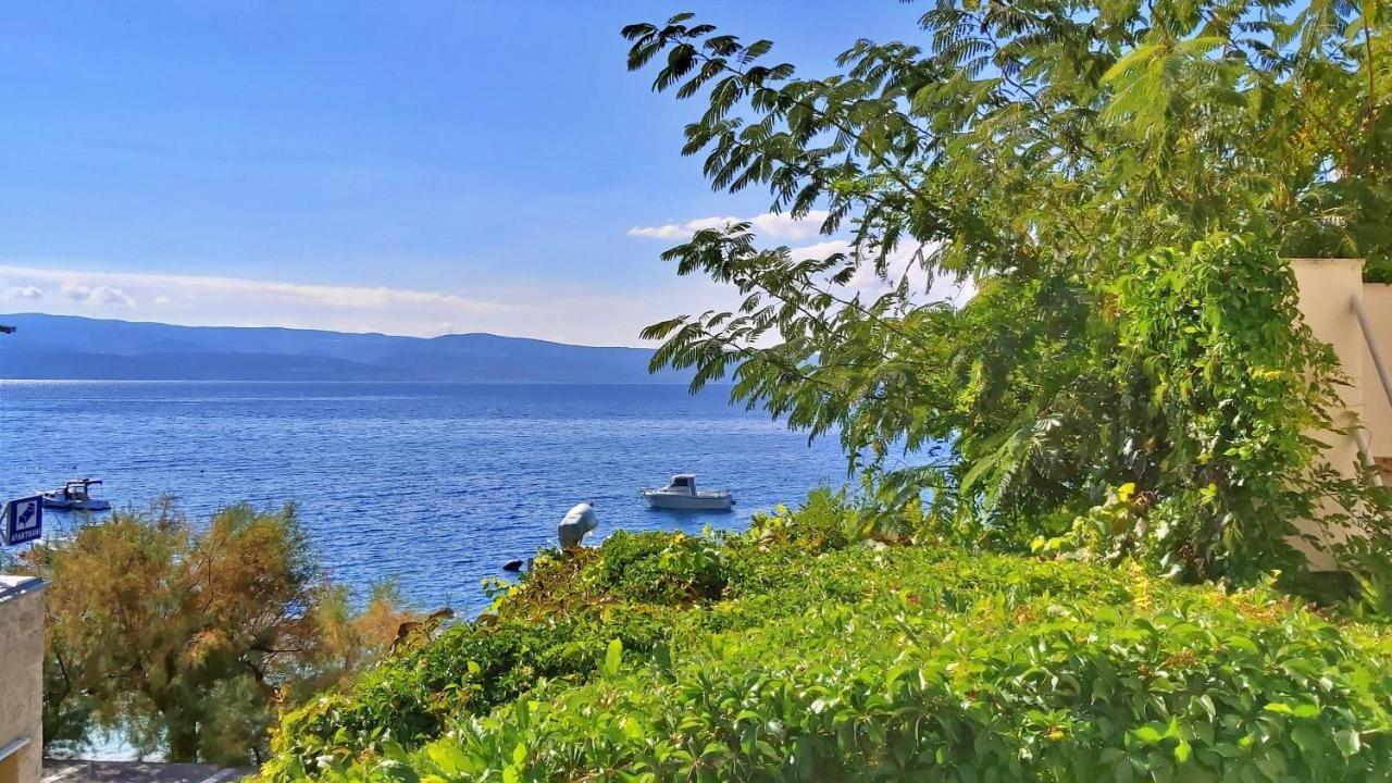 Apartment Neda Omis